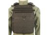 Image of Plate Carriers category