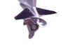 Image of Sports Equipment category