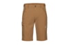 Image of Men's Shorts category