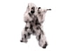 Image of Clothing category