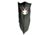 Image of Women's Apparel category