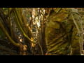 5.11 Tactical MultiCam TDU Long Sleeve Shirt