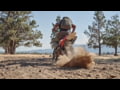 5.11 Tactical Peak Cargo Pants