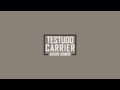 AR500 Armor - Testudo