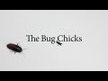 Celestron Micro Direct The Bug Chicks