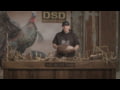 Feeding Hen Decoy