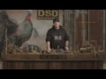 Mating Hen Decoy