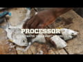 Gerber Processor Salt