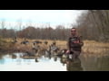 Higdon Outdoors - Full-Size Speck Decoys