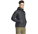 Image of Adidas Terrex XPR LF HO JKT, Mens