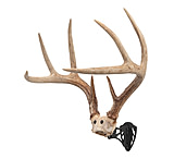 Image of Allen EZ Mount Horn Bracket