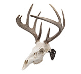 Image of Allen EZ Mount Skull Hanger