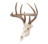 Image of Allen EZ Mount Skull Peg Hook