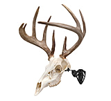 Image of Allen EZ Mount Trophy Skull Hanger