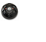 Image of American Hunter Swine Shine Hog Light