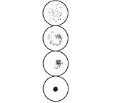 Image of Arlington RPR Test Cards and Pipets, ASI 987030 30-Well Cards