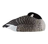 Image of Avian X Canada Sleeper Shells