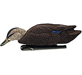 Image of Avian X Power Swimmer Drake Black Duck Decoy