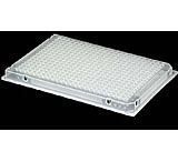 Image of Axygen 384-Well Deep Well Plates, Axygen Scientific P-384240SQCS Deep Well Plates