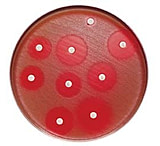 Image of BD BBL Sensi-Disc Antimicrobial Susceptibility Test Discs, BD Diagnostic Systems 231696 Cefepime