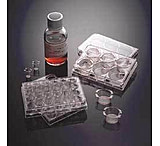 Image of Corning BioCoat Matrigel Matrix Cellware, 354433 Multiwell Plates 24-Well
