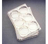 Image of Corning Falcon Multiwell Flat-Bottom Plates with Lids, Sterile, 353934