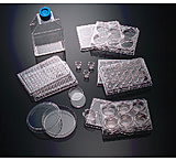 Image of BD Dish Poly D Lysine 100MM CS10 354455