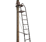 Image of Big Dog Blue Tick Ladder Stand