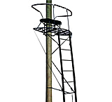 Image of Big Dog Hunting Great Dane