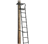 Image of Big Dog Hunting Skyraider