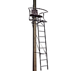 Image of Big Dog Hunting Stadium Series Tree Stand
