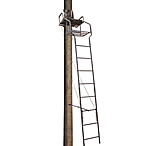Image of Big Dog Stadium Basic Ladder