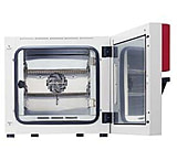 Image of Binder Microbiology Incubators, BF Series, BINDER 9010-0242 Bf 400 Models