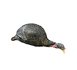 Image of Bone Collector Feeding Hen