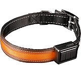 Image of Brite Strike Technologies Rechargeable Lighted Dog Collar
