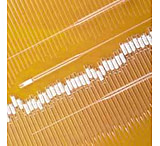 Image of Chase Scientific Disposable Pasteur Pipets, Glass, Plugged 63A14672-410 Borosilicate Glass