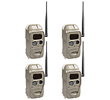 Image of Cuddeback Cuddelink Black Flash X4 Camera