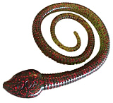 Image of D.O.A. C.A.L. Sna-Koil Worm