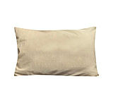 Image of Disc-O-Bed Pillow