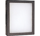 Image of Displays 12 Cotton Filled Display Boxes