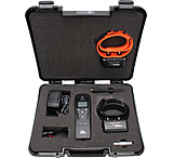 Image of DT Systems SPT 2422 - 2 Dog System