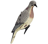 Image of Edge Expedite Decoys 814185
