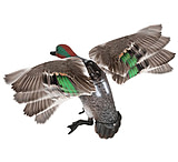 Image of Edge Expedite Rapid Flyer Teal Decoy 731116