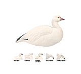 Image of Final Approach Last Pass HD Snow Goose, Shells