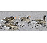 Image of Final Approach Specklbelly Floater Active, 6 Pack