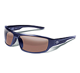 Image of Gargoyles Prevail Sunglasses
