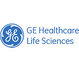 Image of GE Specific Affinity Media, Protein A Sepharose, CL-4B, 1.5g, 17-0780-01