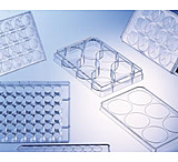 Image of Greiner Bio-One Plate 12w Cellcoat Ps Pdl Cs50 665940