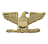 Image of HERO'S PRIDE Colonel Pin W/ 2 Posts &amp; Clutch Back - 3/4'' High - Pair