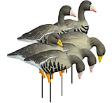 Image of Higdon Outdoors APEX Full-Size Full-Body Variety Specklebelly Pack Decoy